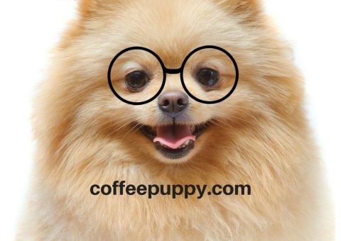 Coffee Puppy