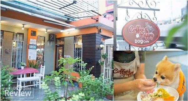 Dog Cafe In Bangkok : DogiLike Review "Coffee & Puppy"