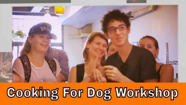 Cooking For Dogs Workshop For French Students