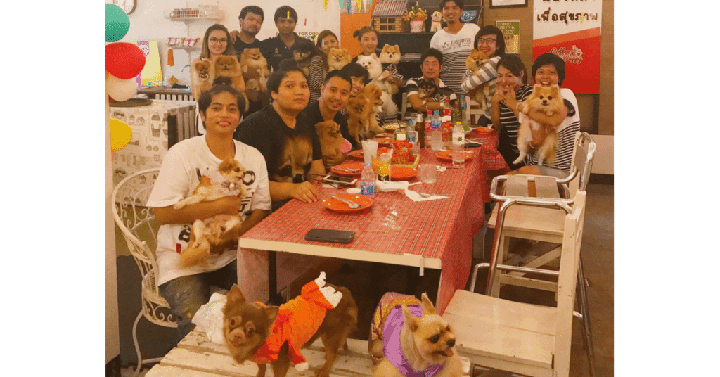 "Whats On Sukhumvit" Review: "Coffee & Puppy"