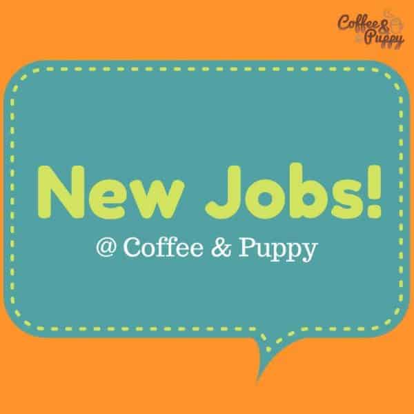 Coffee & Puppy กำลังเปิดรับสมัครงานหลายตำแหน่ง