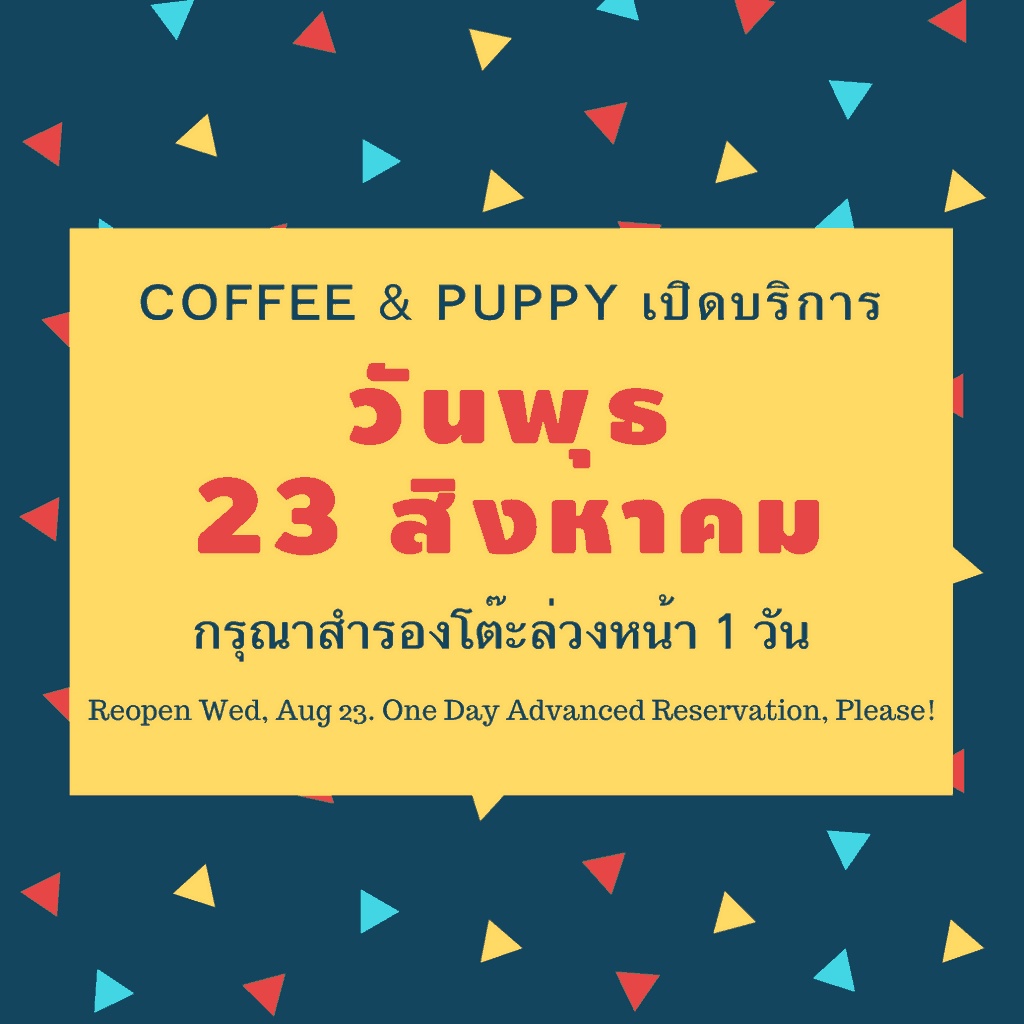 Coffee & Puppy เปิดบริการ วันพุธที่ 23 สิงหาคม 2017 4 Coffee & Puppy เปิดบริการ วันพุธที่ 23 สิงหาคม 2017