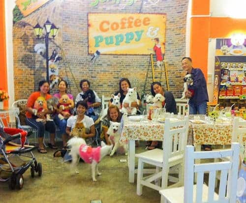 Coffee Puppy Customers