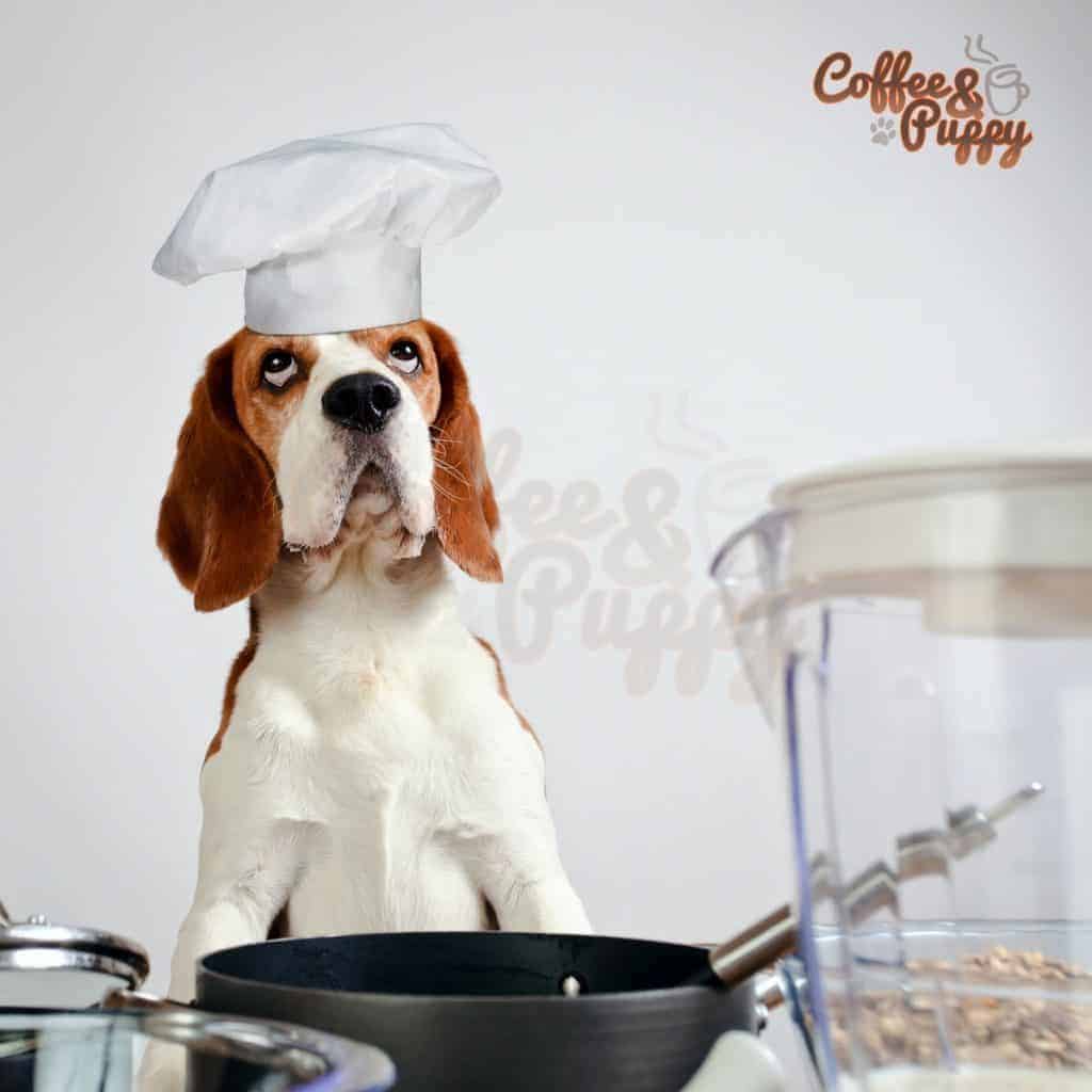 Good & Bad Food For Your Dogs