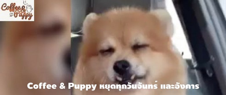 ติดต่อสำรองโต๊ะ Make A Reservation