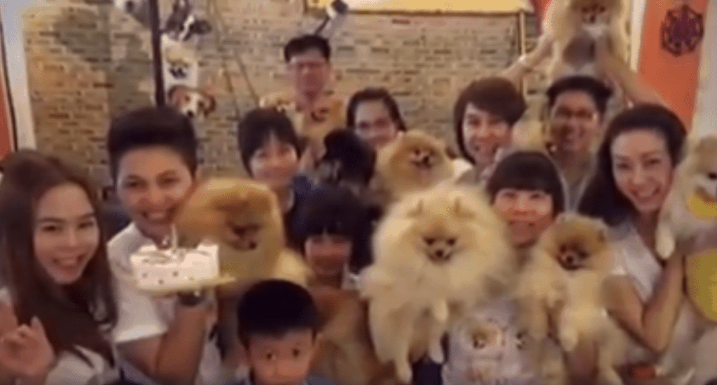 Puppies Birthday Party