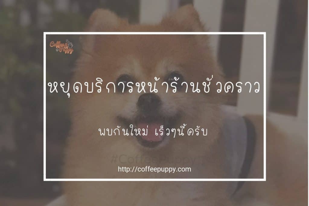 Coffee & Puppy หยุดให้บริการหน้าร้านชั่วคราว