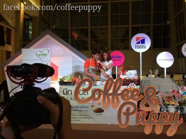 Coffee-Puppy-Give-A-Chance-7