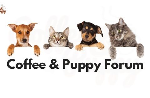 Coffee & Puppy Forum