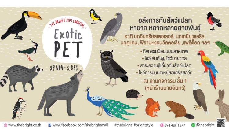 the-bright-kids-carnival-exotic-pet