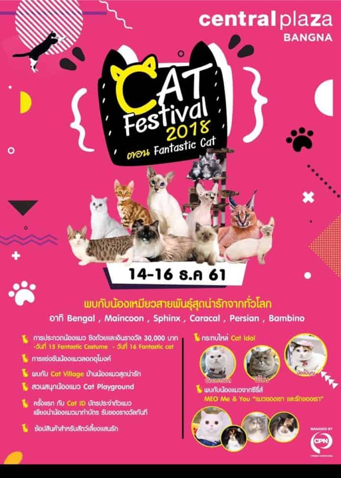 cat-festival-2018-central-bangna