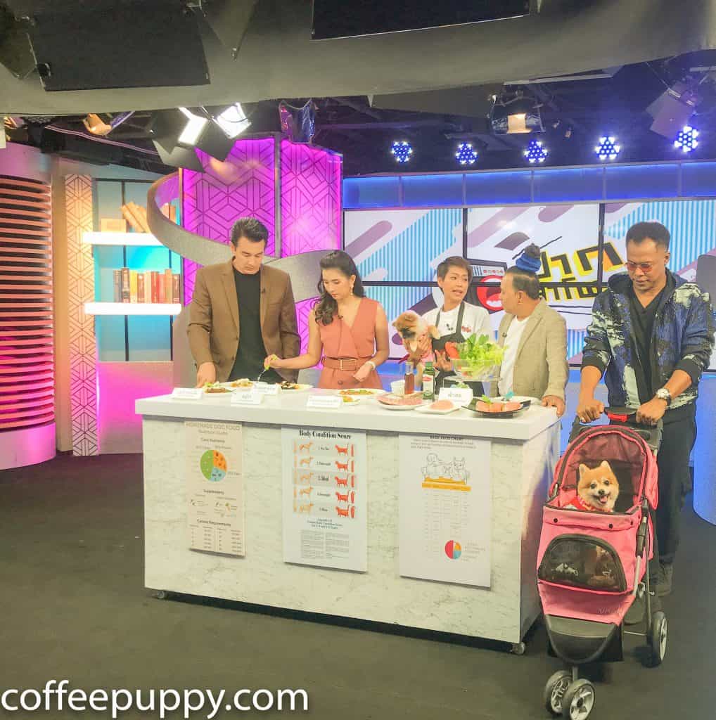 Coffee & Puppy On TV: รายการ ปากลำโพง Amarin TV HD 34 4