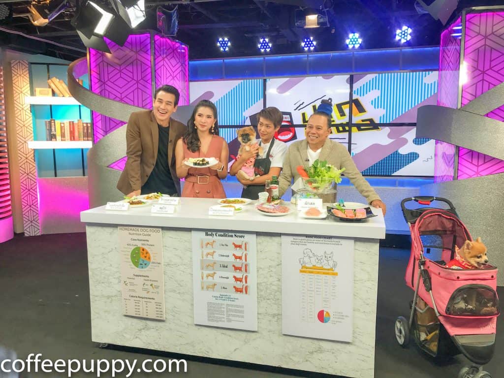 Coffee & Puppy On TV: รายการ ปากลำโพง Amarin TV HD 34 7