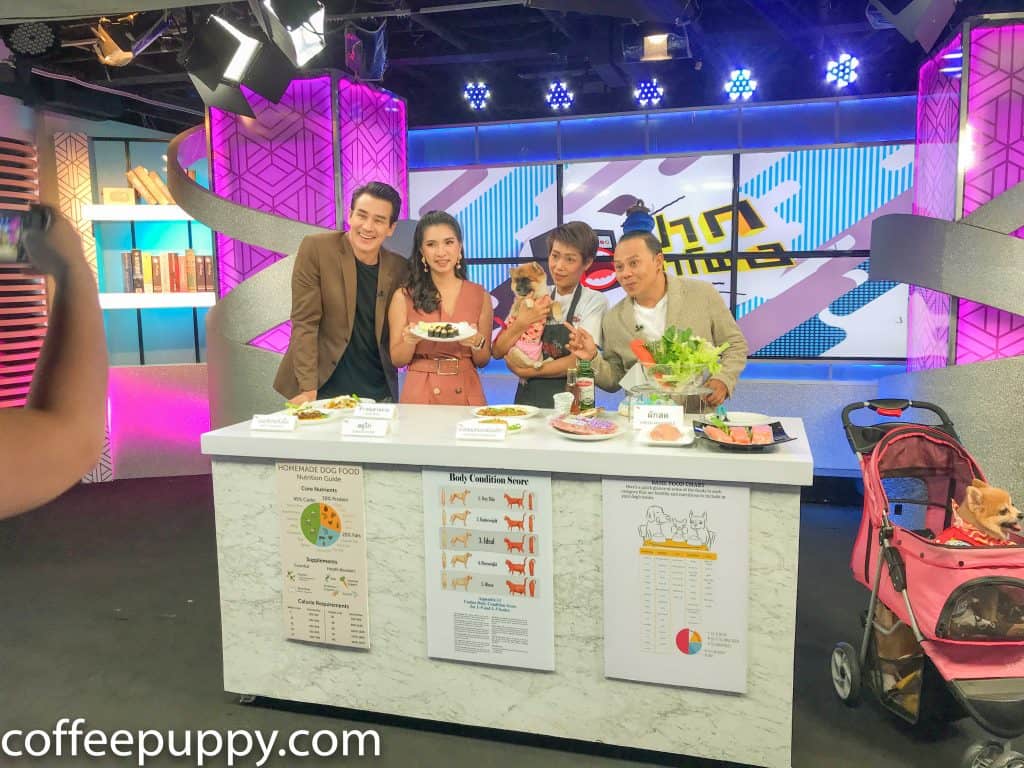 Coffee & Puppy On TV: รายการ ปากลำโพง Amarin TV HD 34 8