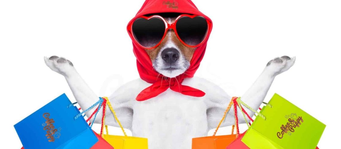 เปิดแล้ว-ช้อปปิ้งกับร้านค้าออนไลน์ของ-coffee-puppy